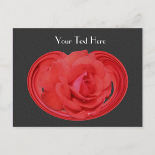 Red Rosebud Black Floral Briefkaart