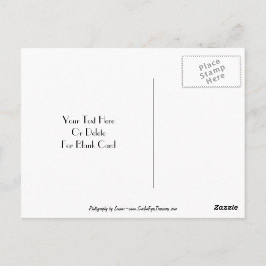 Red Rosebud Black Floral  Briefkaart (Achterkant)