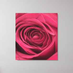 Red Rosebud Canvas Afdruk