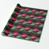 Red Rosebud Flower Natuur gepersonaliseerd Cadeaupapier (Uitgerold)