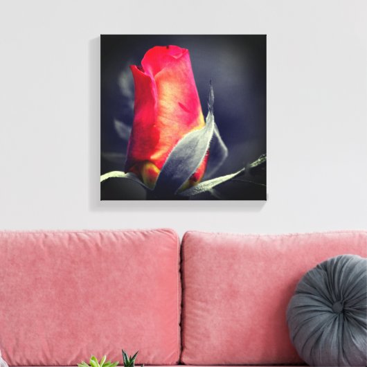 Red Rosebud partiële kleur Canvas Afdruk (Insitu (Woonkamer))