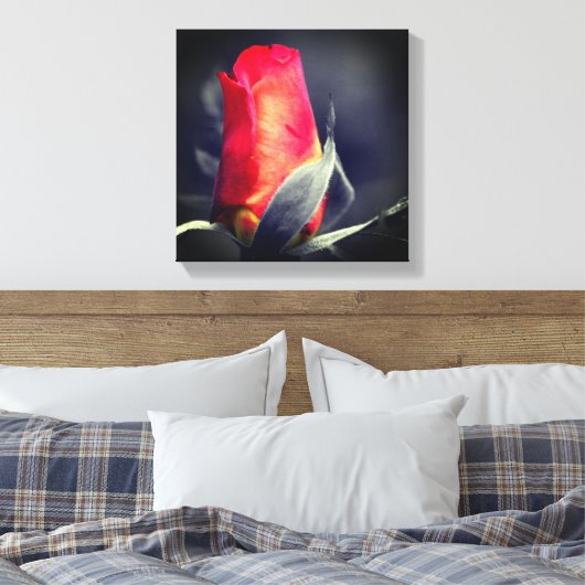Red Rosebud partiële kleur Canvas Afdruk (Insitu (Slaapkamer))