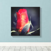 Red Rosebud partiële kleur Canvas Afdruk (Insitu (Houten vloer))