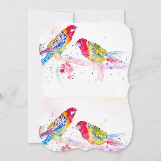 Red Rosella Parrot Boys Birthday Invitation Kaart (Achterkant)