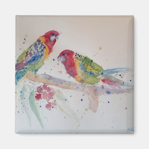 Red Rosella Parrot Waterverf Painting Magneet