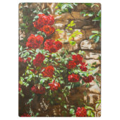 Red Roses Against a Stone Wall Klembord (Achterkant)