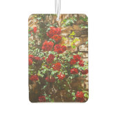 Red Roses Against a Stone Wall Luchtverfrisser (Achterkant)