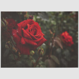 Red Roses Beauful Floral 20x30-decoupage Tissuepapier