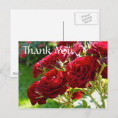 Red Roses bedankt Briefkaart (Voorkant / Achterkant)