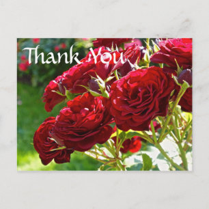 Red Roses bedankt Briefkaart