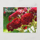 Red Roses bedankt Briefkaart (Voorkant)
