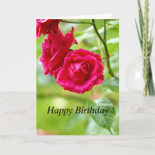 Red Roses Birthday Greetings Card Kaart
