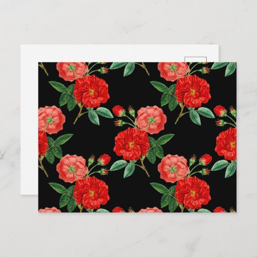 Red Roses, Black Background, Briefkaart (Voorkant / Achterkant)