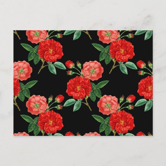 Red Roses, Black Background, Briefkaart (Voorkant)