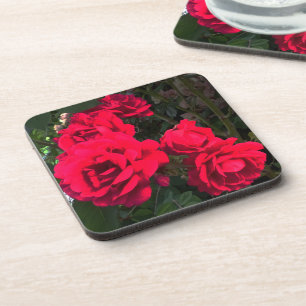 Red Roses Blooming Bier Onderzetter