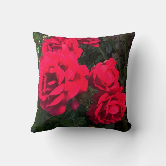Red Roses Blooming Kussen (Achterkant)