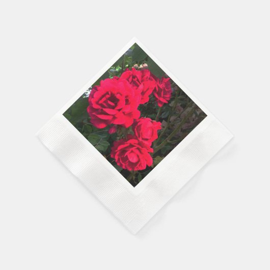 Red Roses Blooming Servet (Hoek)