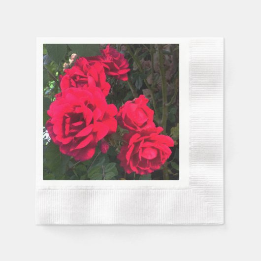 Red Roses Blooming Servet (Voorkant)