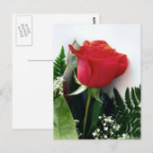 Red roses briefkaart (Voorkant / Achterkant)