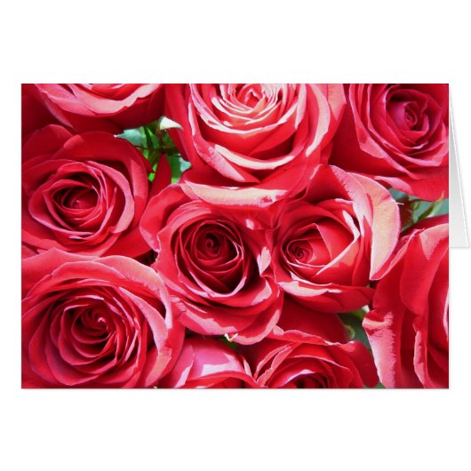 Red Roses Bunch-kaart (Voorkant Horizontaal)