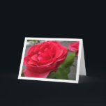 Red Roses Close-up Portret Kaart<br><div class="desc">Red Roses Close-up Portrait Wenskaart. U kunt dit product eenvoudig gratis aanpassen als u tekst wilt toevoegen of de kleur van de achtergrond wilt wijzigen.</div>