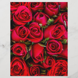 Red Roses Floral