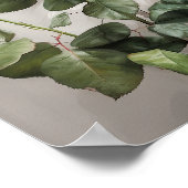 Red Roses Flower Art Print Poster (Hoek)