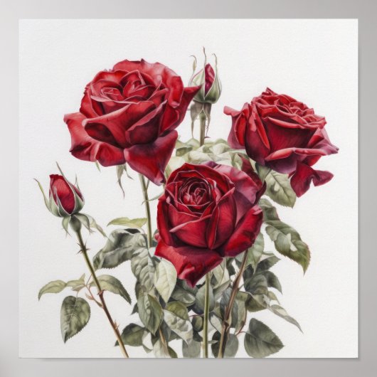 Red Roses Flower Art Print Poster (Voorkant)