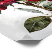Red Roses Flower Art Print Poster (Hoek)