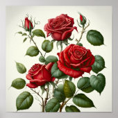 Red Roses Flower Art Print Poster (Voorkant)