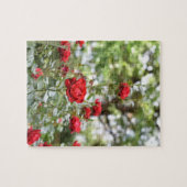Red Roses Flower Natuur Legpuzzel (Horizontaal)