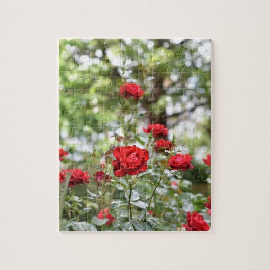Red Roses Flower Natuur Legpuzzel (Verticaal)