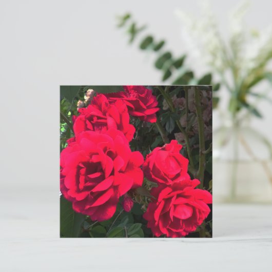 Red Roses Flowers Bedankkaart (Staand voorkant)