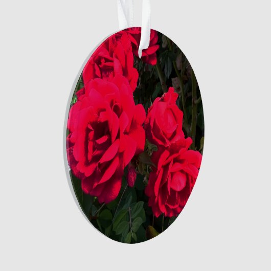 Red Roses Flowers Ornament (voorkant)