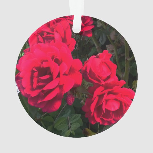Red Roses Flowers Ornament (achterkant)