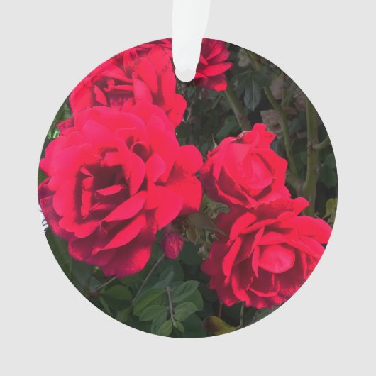 Red Roses Flowers Ornament (voorkant)