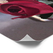 Red Roses Foto Poster (Hoek)