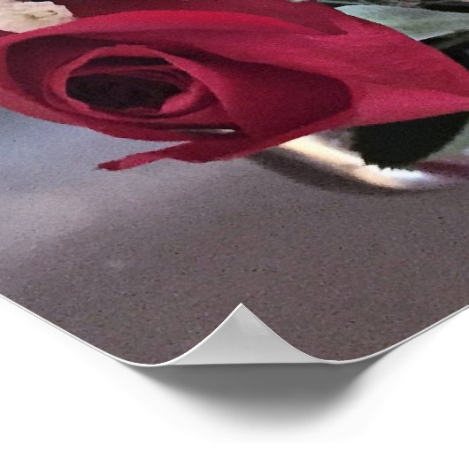 Red Roses Foto Poster (Hoek)