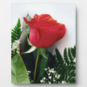 Red roses fotoplaat (Voorkant)