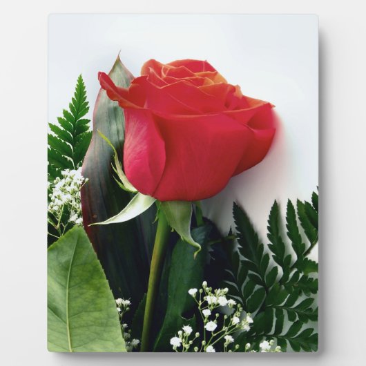 Red roses fotoplaat (Voorkant)