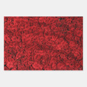 Red Roses Gift Wrap HAMbyWG Inpakpapier Vel (Voorkant 2)