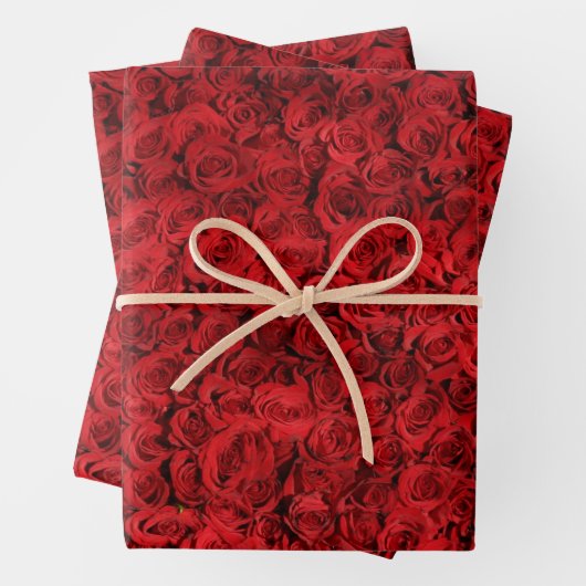 Red Roses Gift Wrap HAMbyWG Inpakpapier Vel (In situ)