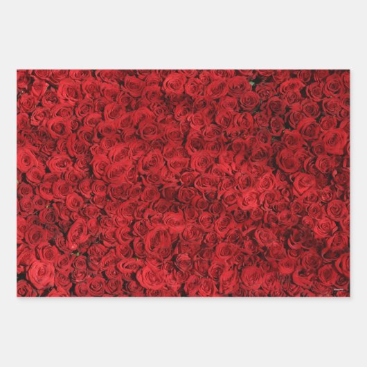 Red Roses Gift Wrap HAMbyWG Inpakpapier Vel (Voorkant 3)