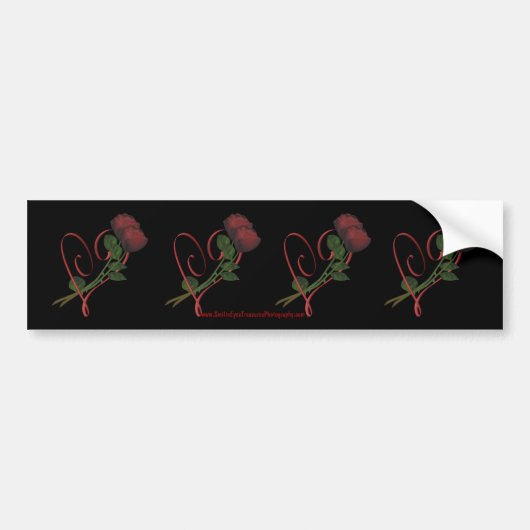 Red Roses Hearts Flower Bumpersticker Car Art (Voorkant)