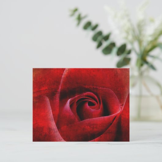 Red Roses Macro. Briefkaart (Staand voorkant)