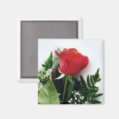 Red roses magneet (Voorkant / Achterkant)