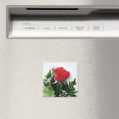 Red roses magneet (Insitu (Vaatwasser))