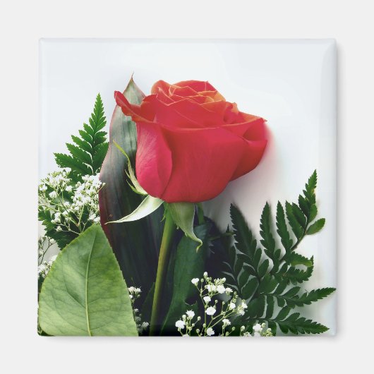 Red roses magneet (Voorkant)