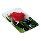Red roses magneet (Rechterzijde)