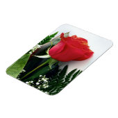 Red roses magneet (Linkerzijde)